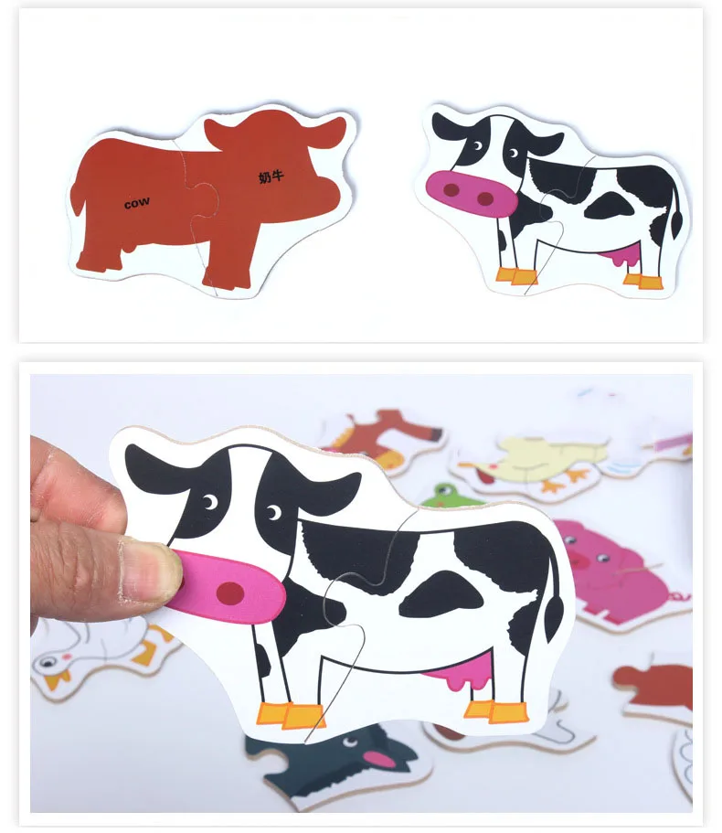 8598870925_731080586