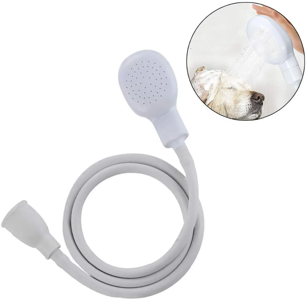 61ZcPlZF1TL._AC_SL1310_