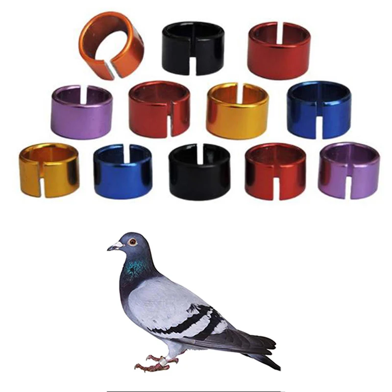 10 Pcs /set Pet Bird Rings  10mm Aluminium Pigeon Rings Training Identification
