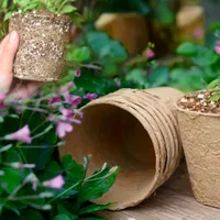 50 Pcs 6cm Garden Round Peat Pots Plant Seedling Starters Cups Nursery Herb Seed Tray Planting Tools Eco-friendly Biodegradable 3