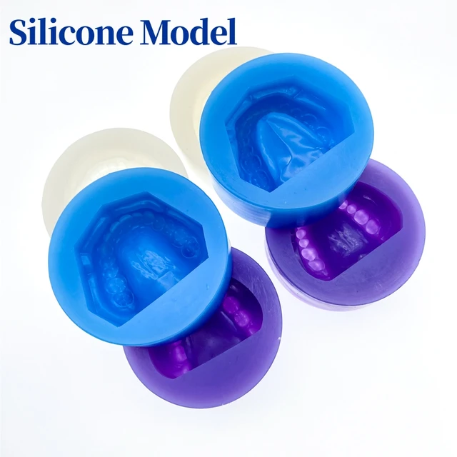 2pc Silicone Dental Plaster Model Mold of Edentulous Jaw Complete Cavity  Block Full Teeth Half Teeth - AliExpress