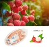 Litchi 100pcs