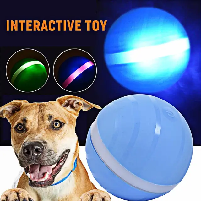 LED Waterproof Dog Ball