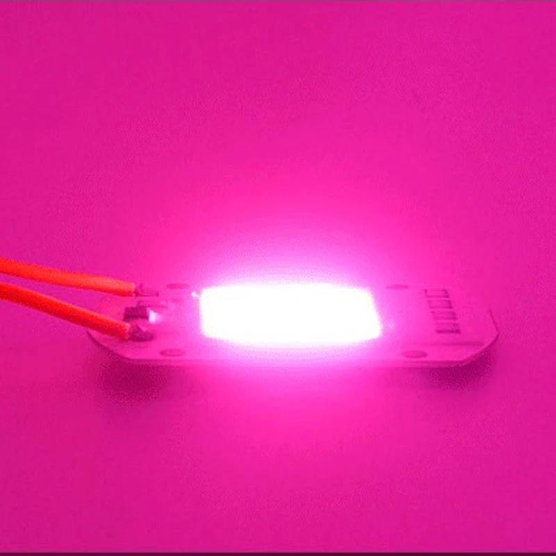 LED lamp Bead Chip Phyto Lamp Full Spectrum AC220V 10W 20W 30W 50W For Indoor Plant Seedling Grow and Flower Growth Lighting