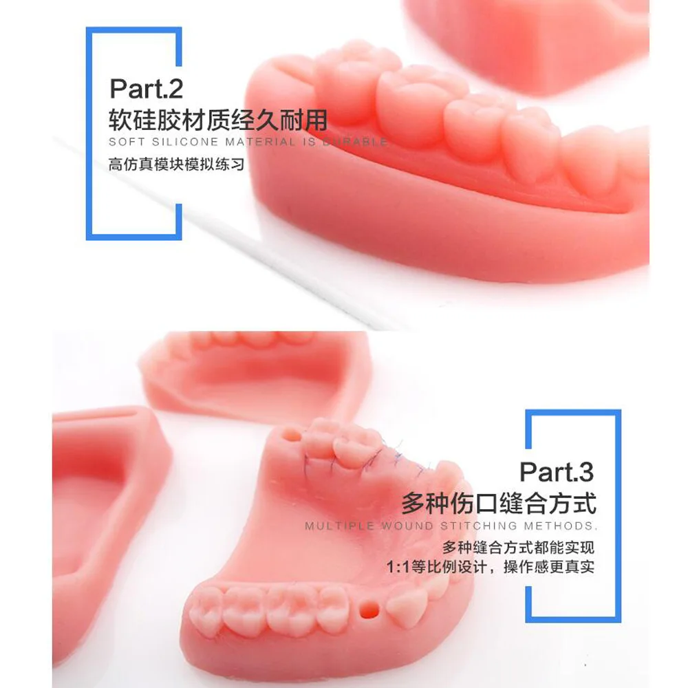 Зубные полости рта жевательной шов тренировочная Модель зуб ортодонтический медицинский силиконовый Пародонтит шва стоматологический инструмент