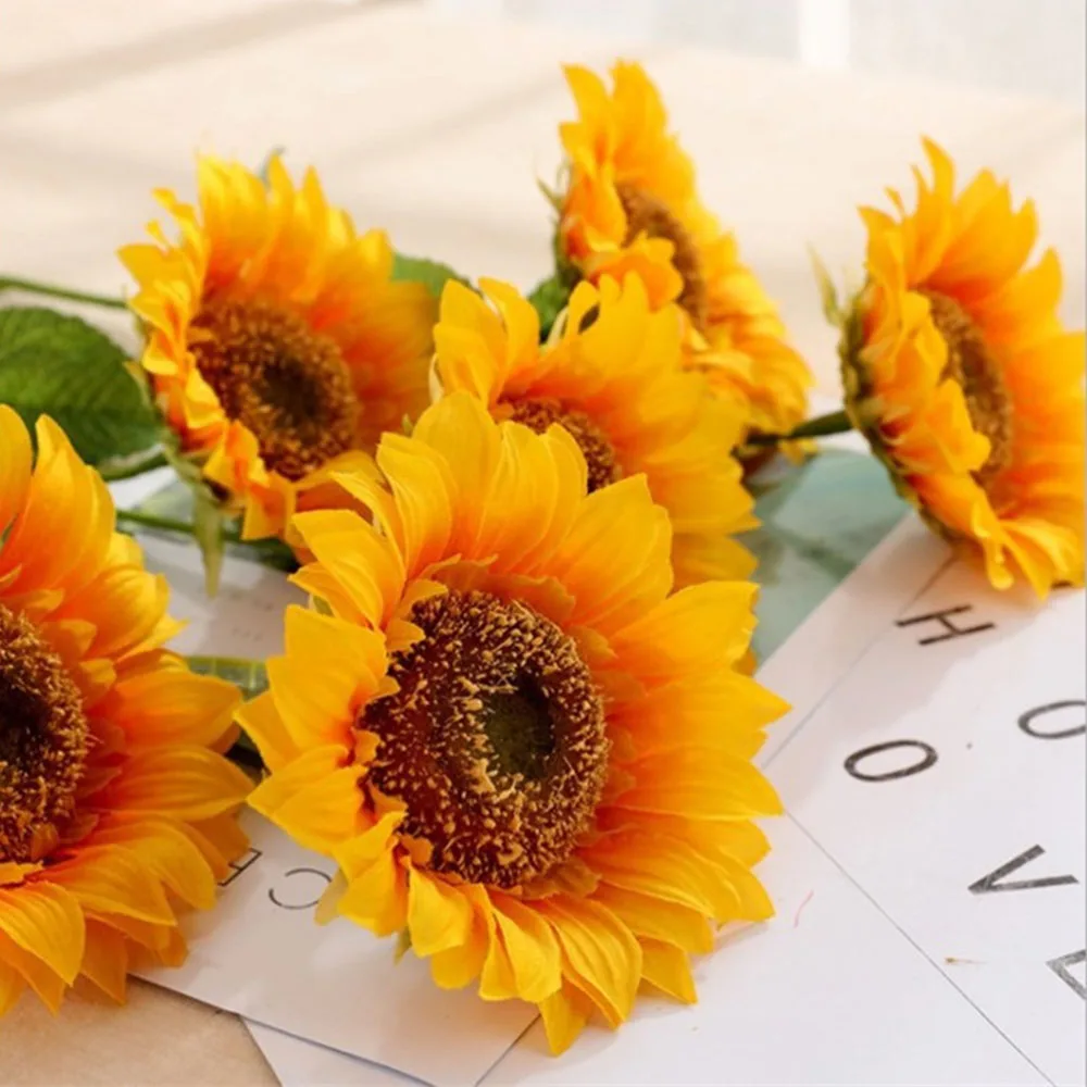 YYPA0093-1-YYPA0093-2-C7