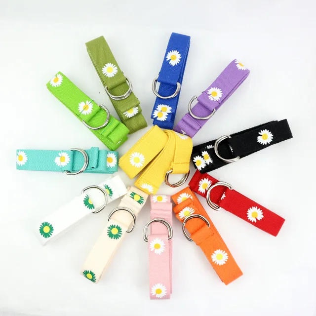 

2020 New Korean Version of the Small Daisy Unisex Canvas Double-ring Buckle Belt Tide Brand Wild Belt Ladies Jeans Belt