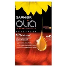 Beauty& Health Hair Care& Styling Hair Coloring Products Hair Color GARNIER 253531