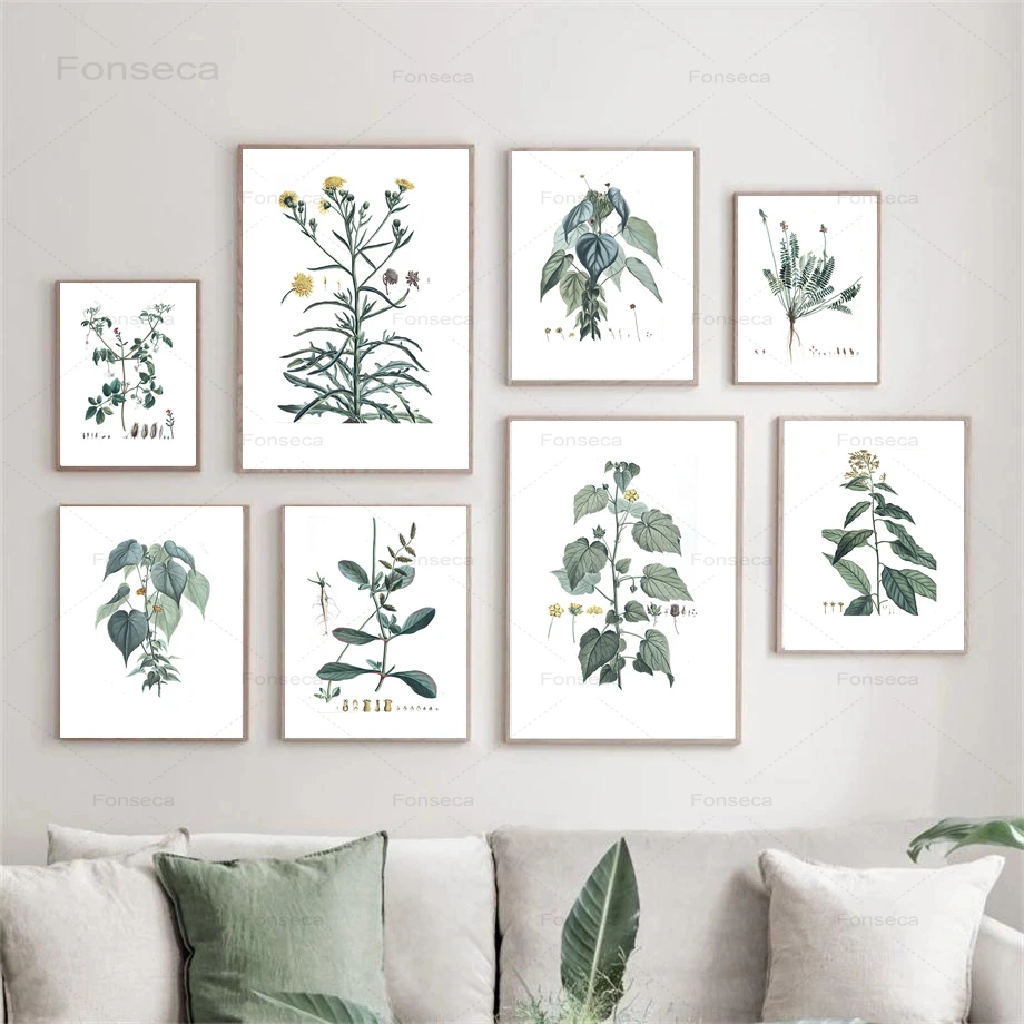 

Botanical Herb Studies Canvas Painting Watercolour French green plant Wall Art Pictures for Kitchen Bedroom home Decoration