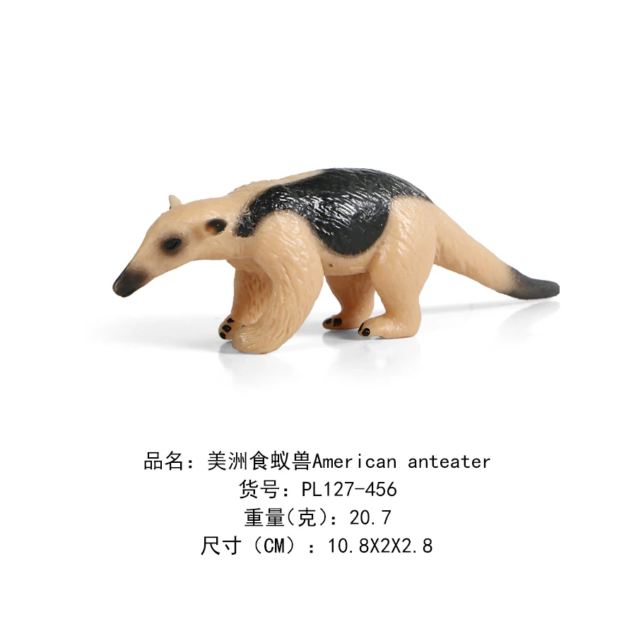 美洲食蚁兽-456