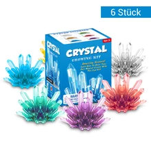 Expérience de plantation de cristal, croissance de cristal, bricolage, expérience scientifique intéressante, jouets éducatifs interactifs pour enfants, cadeau