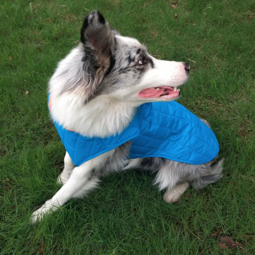 Autumn Winter Reflective Traction Hole Jacket Waterproof Dog Clothes Cotton Layer Pet Coat Bicolor Back Zipper Puppy Warm