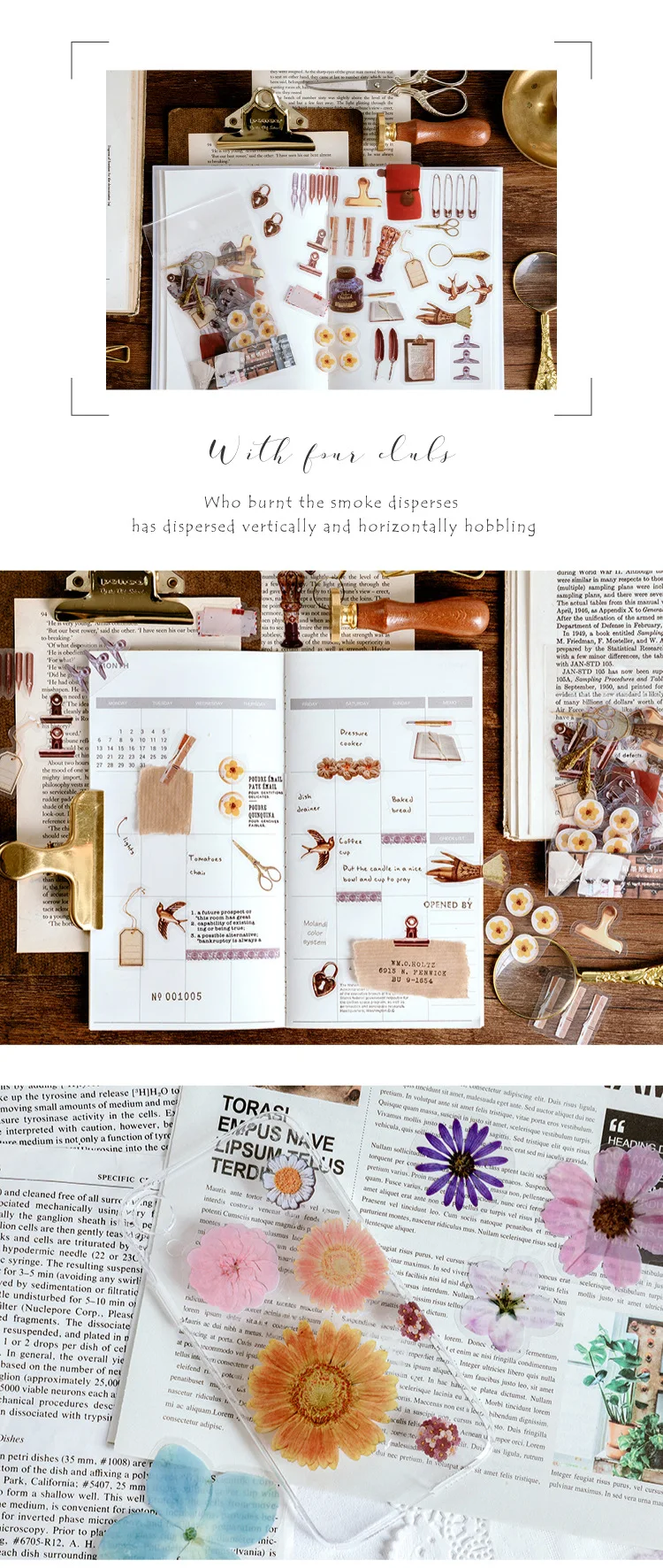 13415904764_505222120