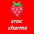 Shoecharms Store