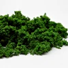 500ML Model Scenery Tree Powder Foliage For Railway Artificial Mini Terrain Lawn  Wargame Landscape Scenery Diorama Accessories 4