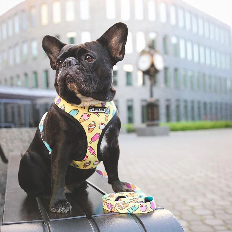French Bulldog Dog Harness Printed English Bulldog Frenchie Reversible