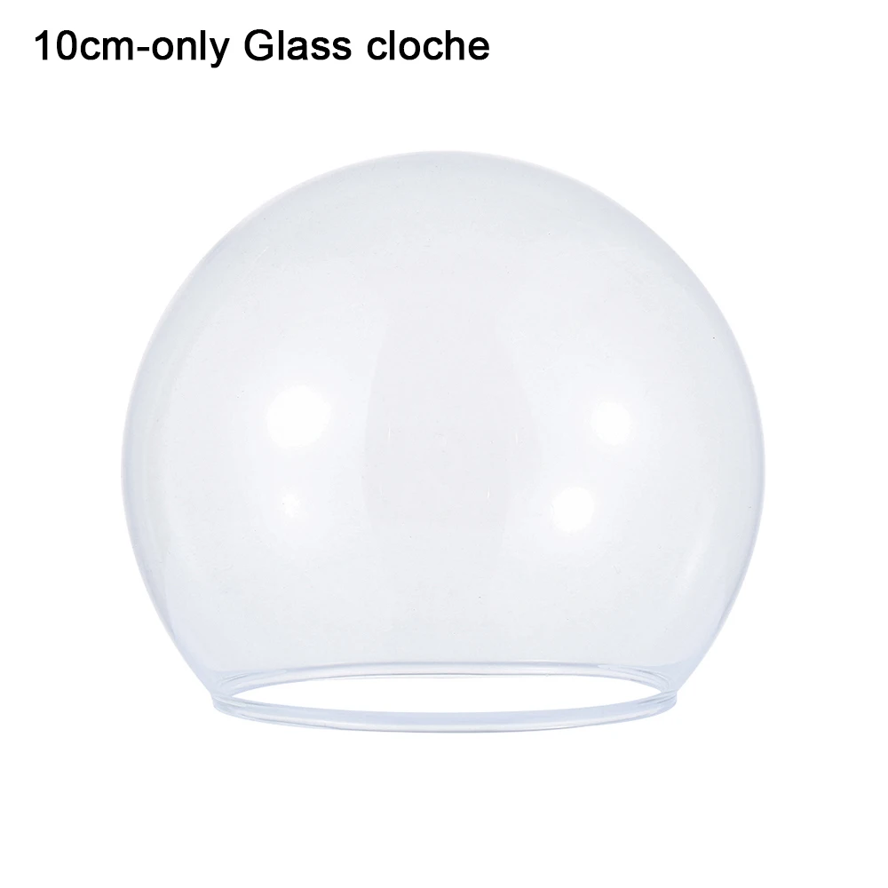 Spherical Terrarium Jar Dust Cover Flower Storage box Glass cloche Wooden base