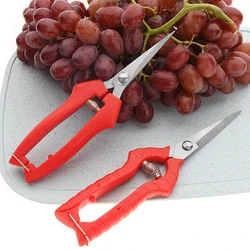 Cisailles à fruits d'horticulture, cisailles de jardin, outil de branche, cisaille de vergers, outils de jardinage 