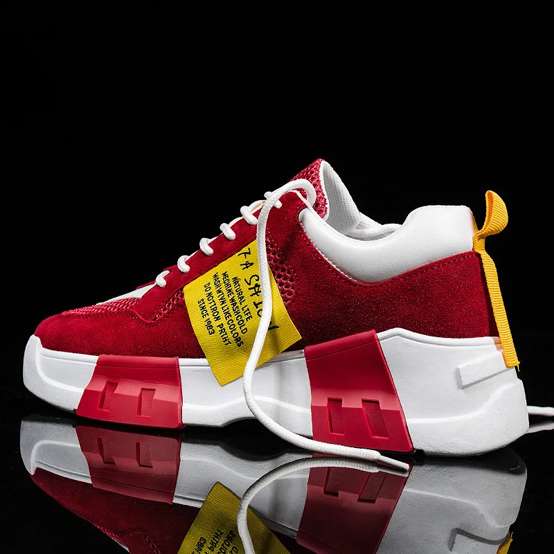

Autumn Men Chunky Sneakers Lace-up Flat Casual Shoes with Platform Stylish Mixed Color Mesh Breathable Adult Male Tenis Footwear
