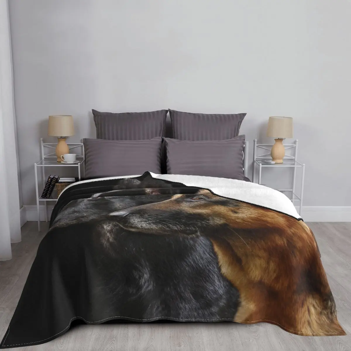 ���� ������ ��ȣ�� ��� ���� ö���� ���� ���� ��� ���� Ȩ ��Ŀ� ���� ����ִ� ������ ������ ���