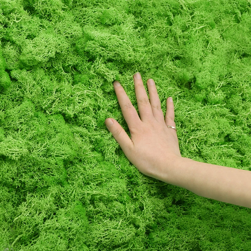 40g Artificial Green Plant Eternal Life Moss Grass for Home Garden Decoration DIY Flower Material Micro Landscape Accessories