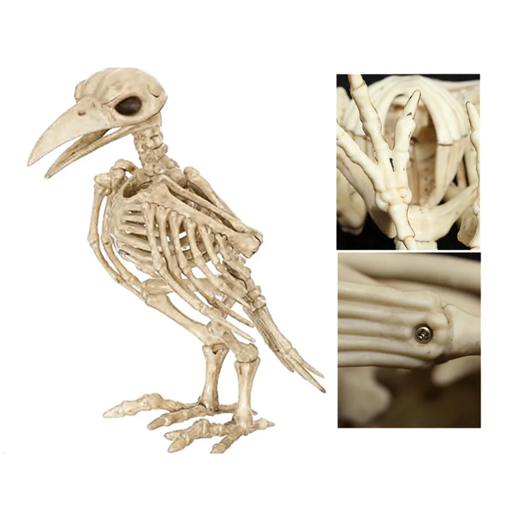 

Creative Skeleton Raven Plastic Animal Skeleton Bones Horror Creepy Halloween Decoration Event Party Mini Skeleton Bird Craft