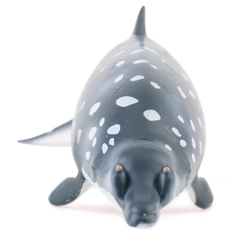 Collecta I You He сплошная модель морской Кит модель животного статические Мальчики развивающие игрушки украшения