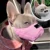 Дышащая Сетка Pet Dog Mask Anti Dust Gas Pollution Muzzle Anti-fog Haze Моющиеся Маски Регулируемые Для Собак