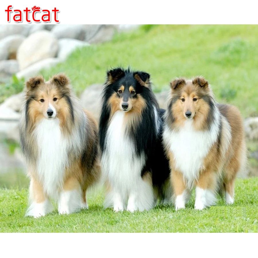 FATCAT Хобби 3d Diy Алмазная вышивка овечья собака стеллаж Собака Искусство Акварель