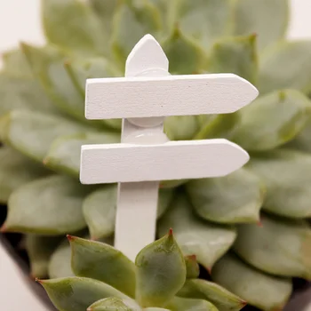 

50Pcs Hot Sale Garden Succulents Tags Markers Nursery Wooden Plant Labels for Garden Ornaments
