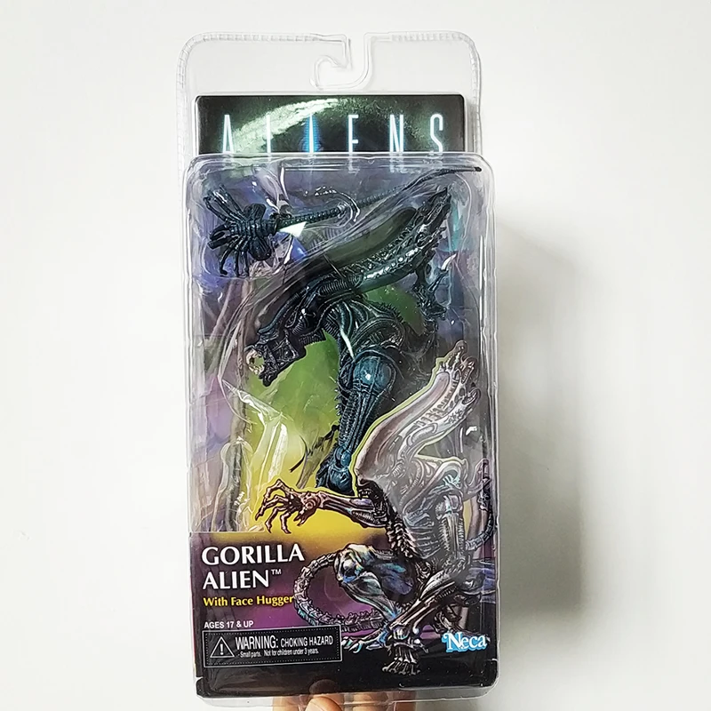 WuTa_2020-03-05_14-46-07