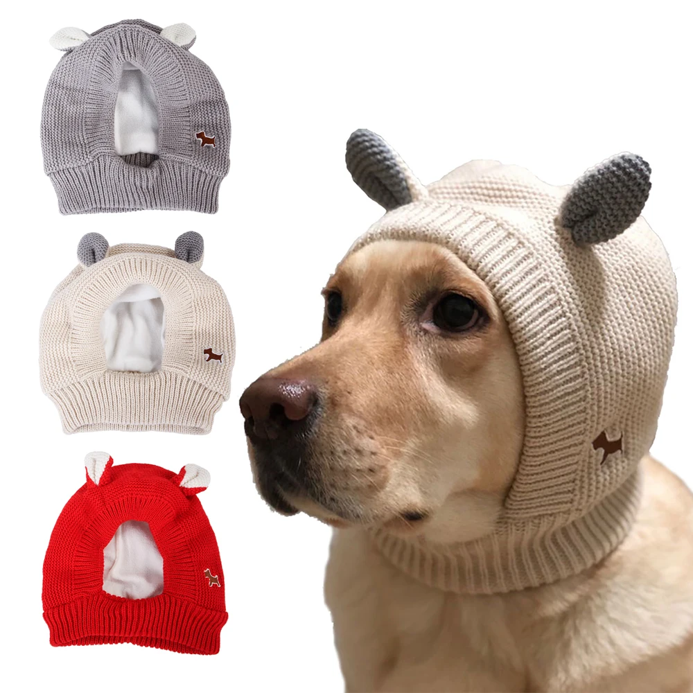 dog with baseball hat