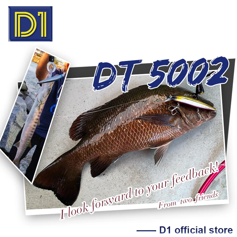 D1 Sea Bait Of BKK Hook Suspending Fishing Lure 160mm 145mm 120mm Artificial Minnow Wobbler Pofessional For Bass Tackle DT5002 — view 6