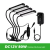 DC12V 80W