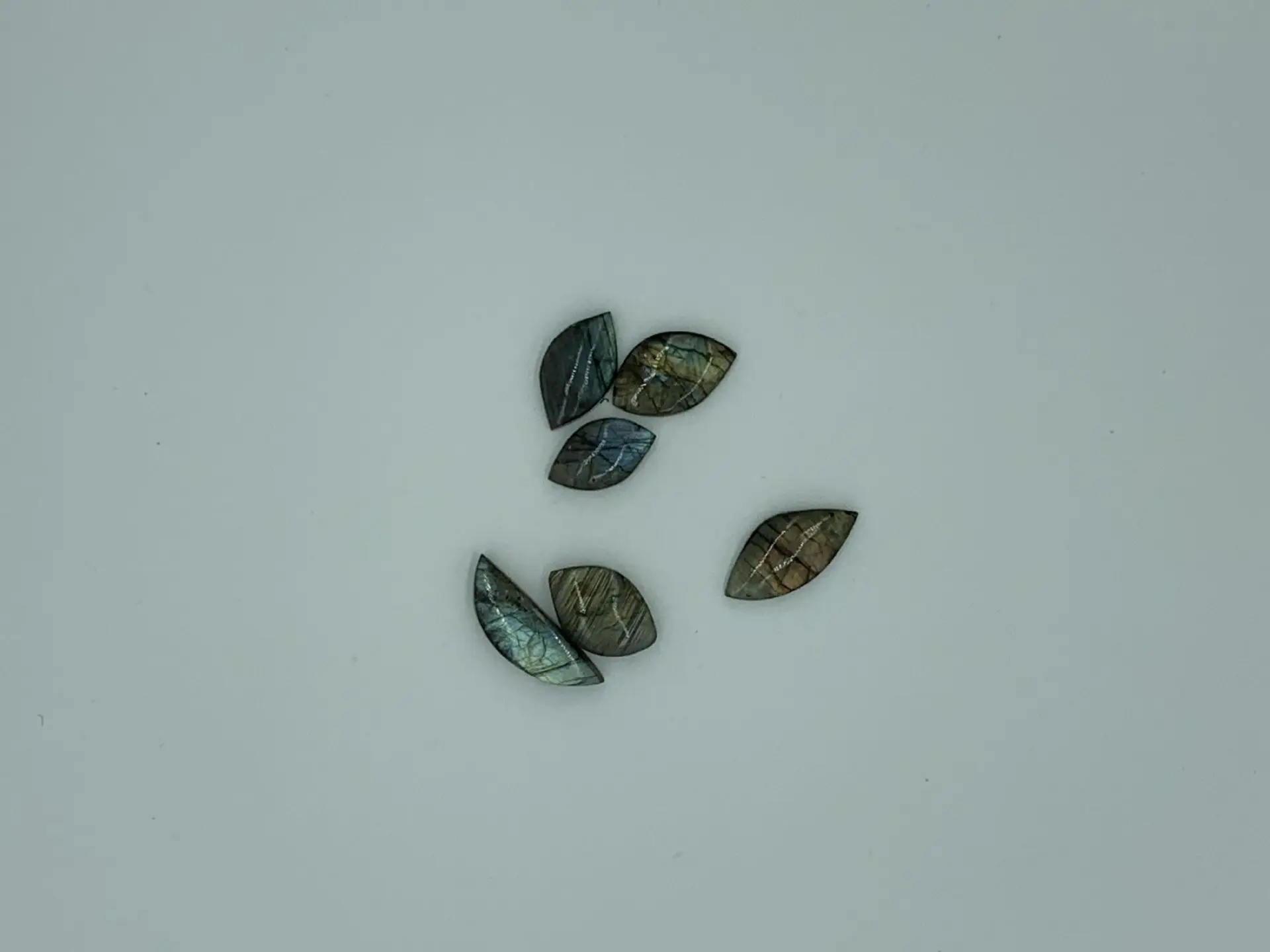 QQPicture20190222120125