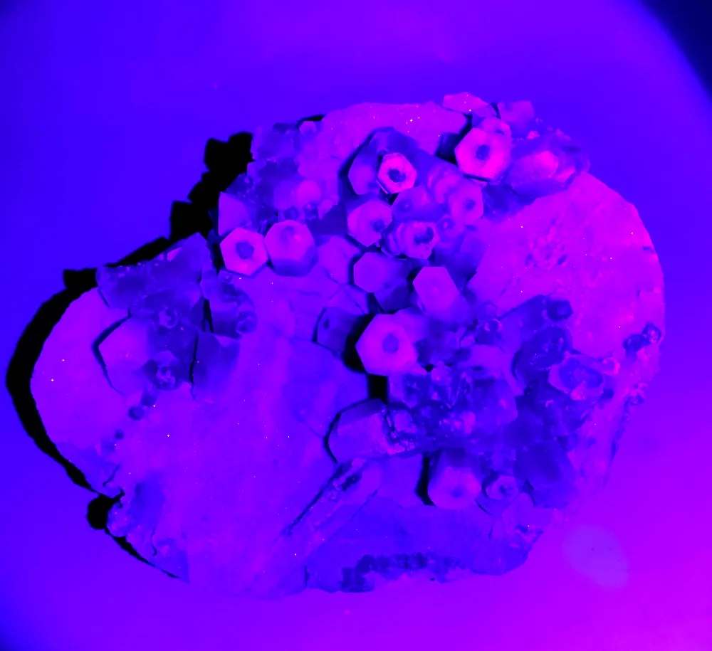 IMG20191110183515