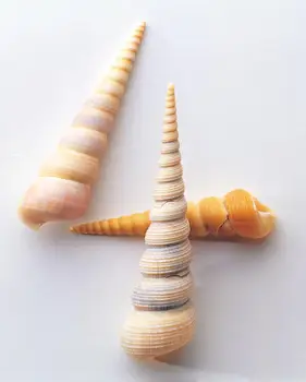 

baby reborn silicone cloth