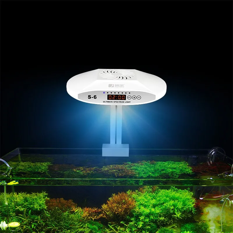  LED  ȣ  , ٴ幰  ,  Ĺ ũ ü Ʈ