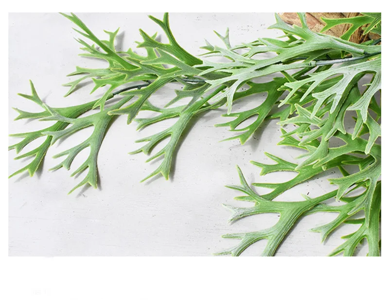 9589200915_919998717