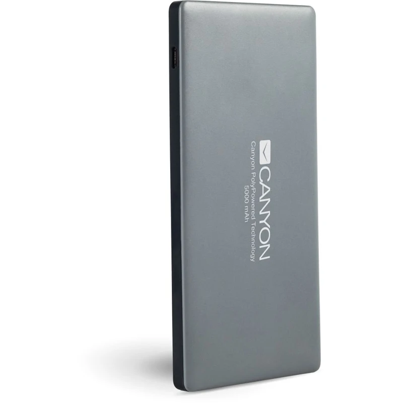Внешний аккумулятор (Power Bank) CANYON CNS TPBP5DG 5000мAч темно серый (h2cnstpbp5dg)|Внешние
