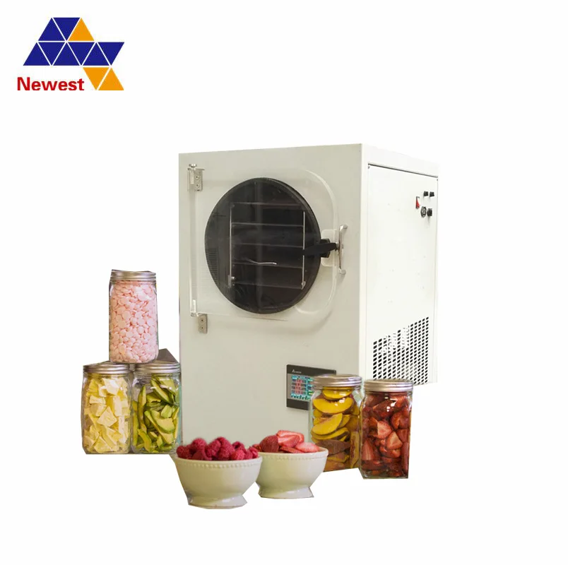 Vacuum Freeze Dehydrator,vacuum Dryer For Fruit And Vegetable,vacuum