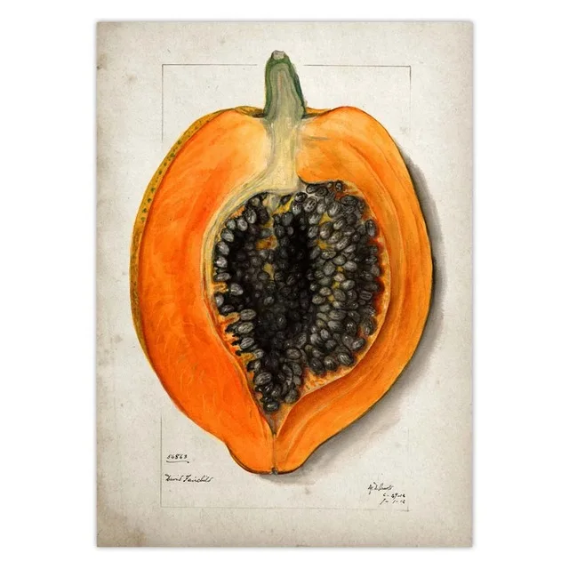 Fruit-Kitchen-Poster-Vintage-Poster-Antique-Print-Pear-Apple-Orange-Pineapple-Wall-Art-Decorative-Picture-Painting.jpg_.webp_640x640 (15)