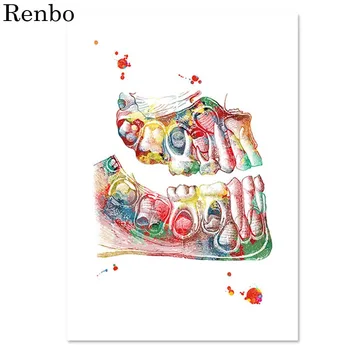 

Teeth Anatomy Medical pictures Diamond Embroidery 5D Full Drill Square Diamond Painting Cross Stitch Diamond Mosaic Manual Hobby