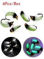 6Pcs/Box Insects Flies Fly Fishing Lures CDC Feather Hackle Nymph Scud Fly UV Brass Beadhead Wet Bug Worm Fishing Sinking Bait
