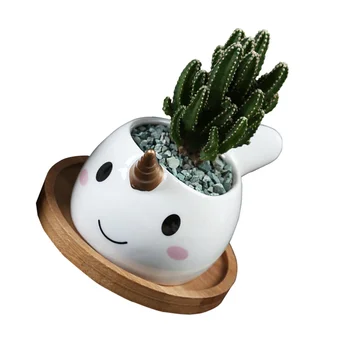 

1PC Dolphin Flowerpot Ceramic Dolphin Succulents Flower Pot Lovely Dolphin Flowerpot Crafts Cartoon Animal Succulent Flowerpot f