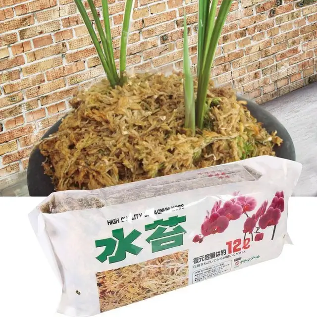 12L Sphagnum Moháskert Hidratáló Táplálkozási Műtrágya A Falaenoppákhoz Orchidea Növényi Gyökerek Virágpozíciós Gondozás - Image 6