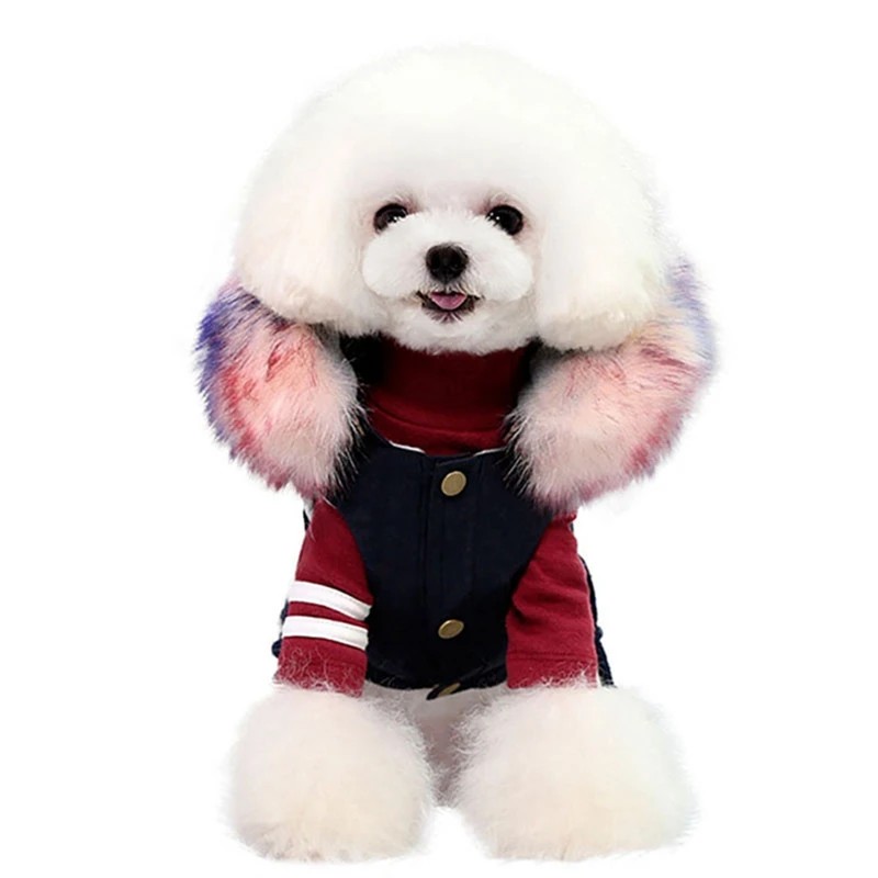 Зимняя одежда для собак роскошный воротник из искусственного меха, пальто для собак для питомец, маленькая собачка, теплая ветрозащитная парка, пальто, флисовая куртка для собак