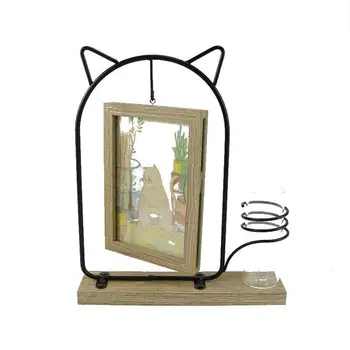 

AsyPets Home Decoration Photo Frame with Hydroponic Hanging 6 Inch Double-Sided Photo Frame Practical Table Crafts Ornaments