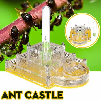 

Ant Feeding Case Pyramid Ant Feeding Box Nest With Feed Hamper Acrylic Display Box Ant Workshop Ant Villa Case