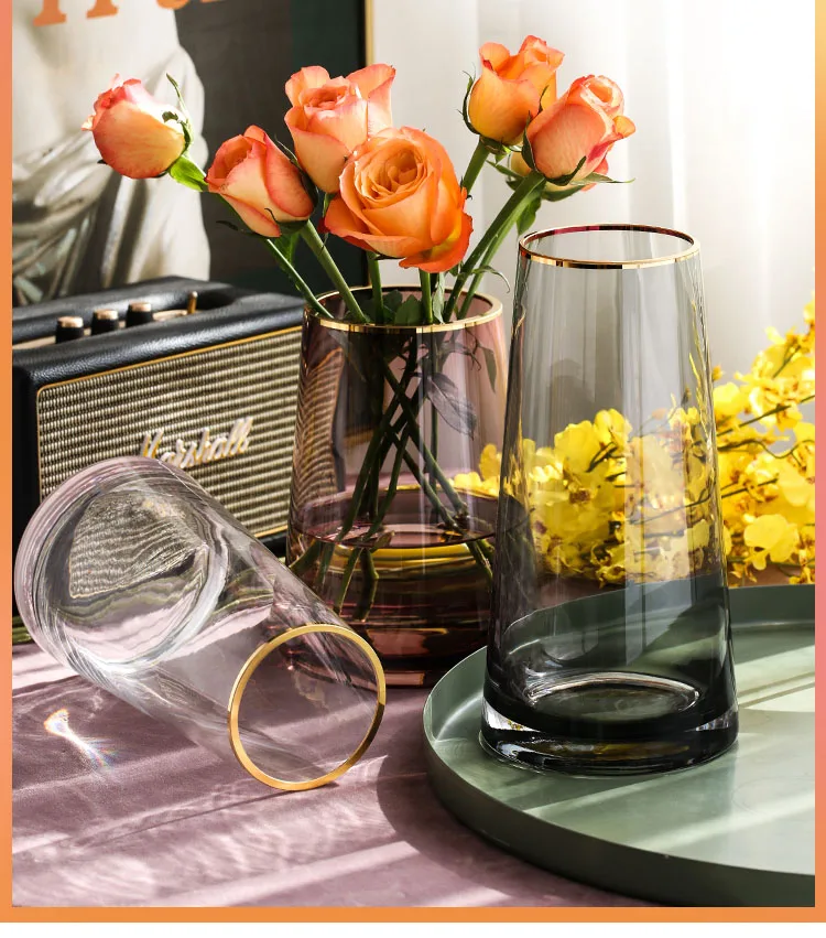 

Transparent Glass Vase Living Room Flower Arrangement Home Decoration Hydroponics Nordic Golden Stroke Creative Simple Vase